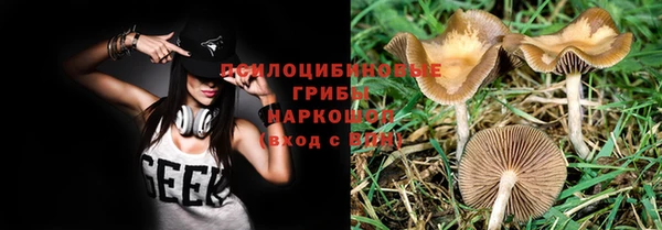 винт Каменногорск