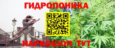 МДПВ Славгород