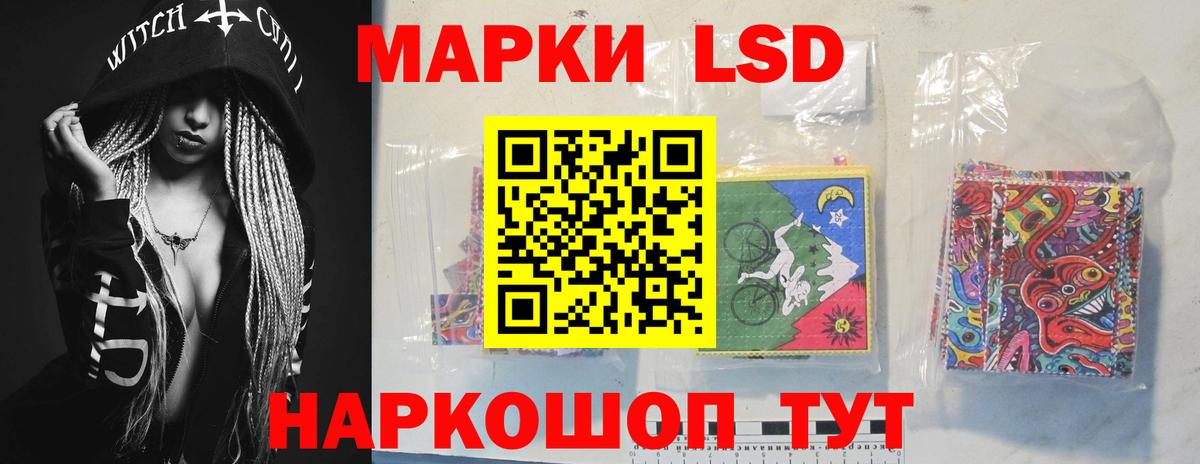 Псилоцибиновые грибы Махачкала