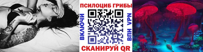 Галлюциногенные грибы мицелий  купить закладку  Махачкала 