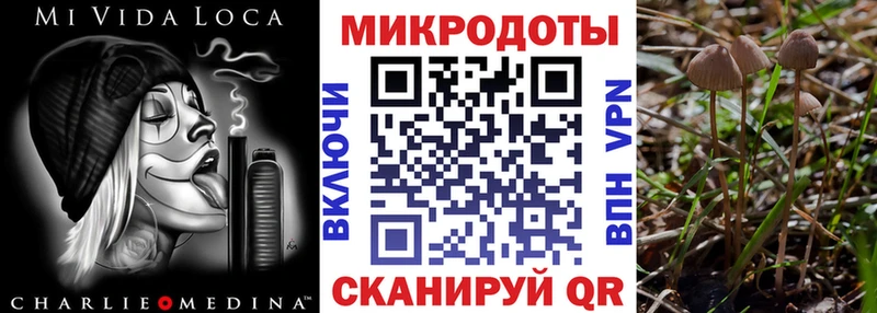 Галлюциногенные грибы Magic Shrooms Махачкала